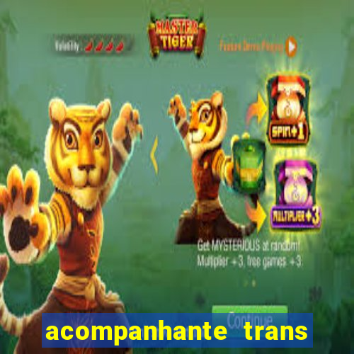 acompanhante trans de santos